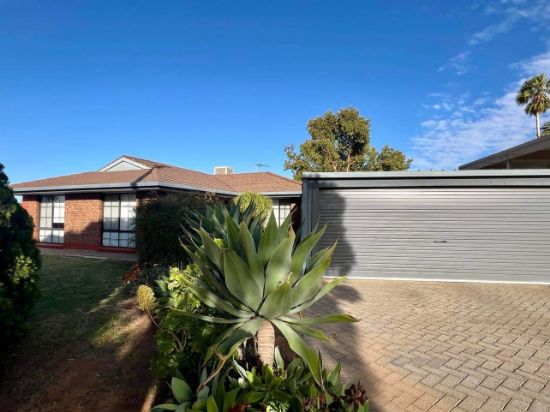 154 Riverside Avenue, Mildura, Vic 3500