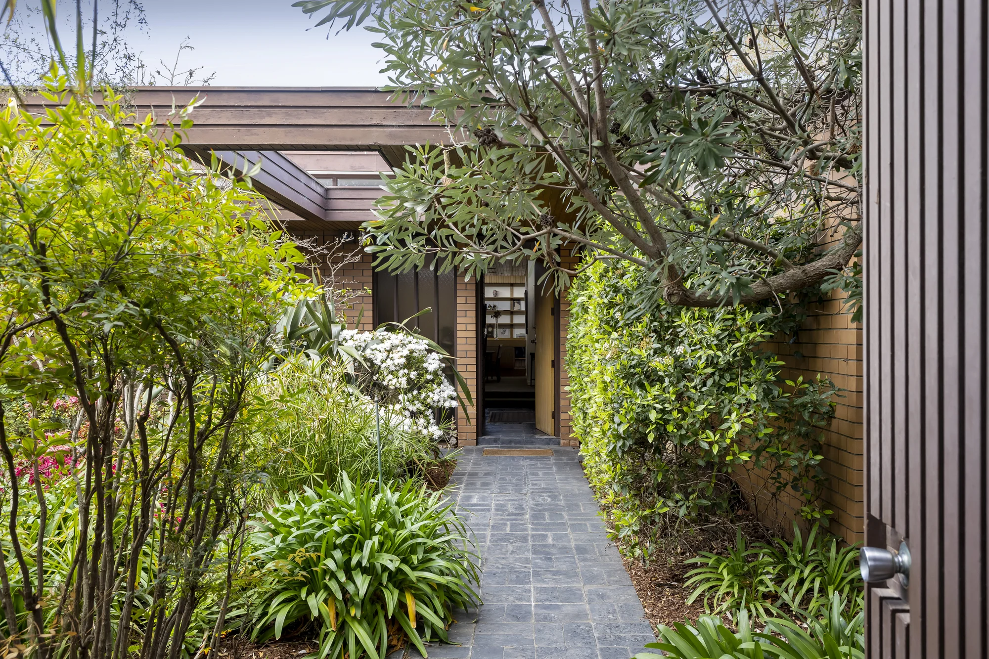 16 Fosbery Avenue, Caulfield North, Vic 3161