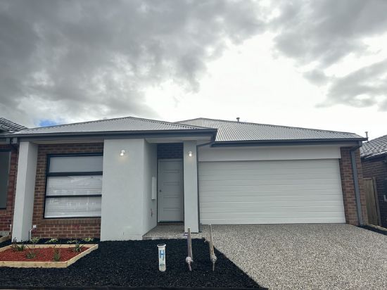 16 Petersborough Rise, Werribee, Vic 3030