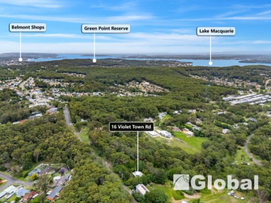 16 Violet Town Road, Mount Hutton, NSW 2290