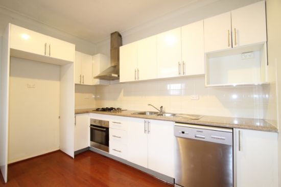 165 Probert Street, Newtown, NSW 2042