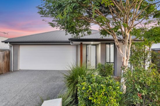 17 Broadaxe Street, Spring Mountain, Qld 4300