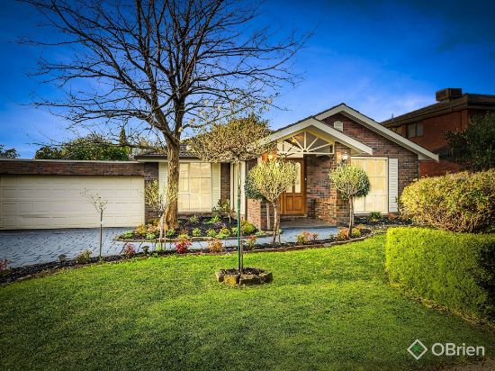 17 Buckingham Drive, Rowville, Vic 3178