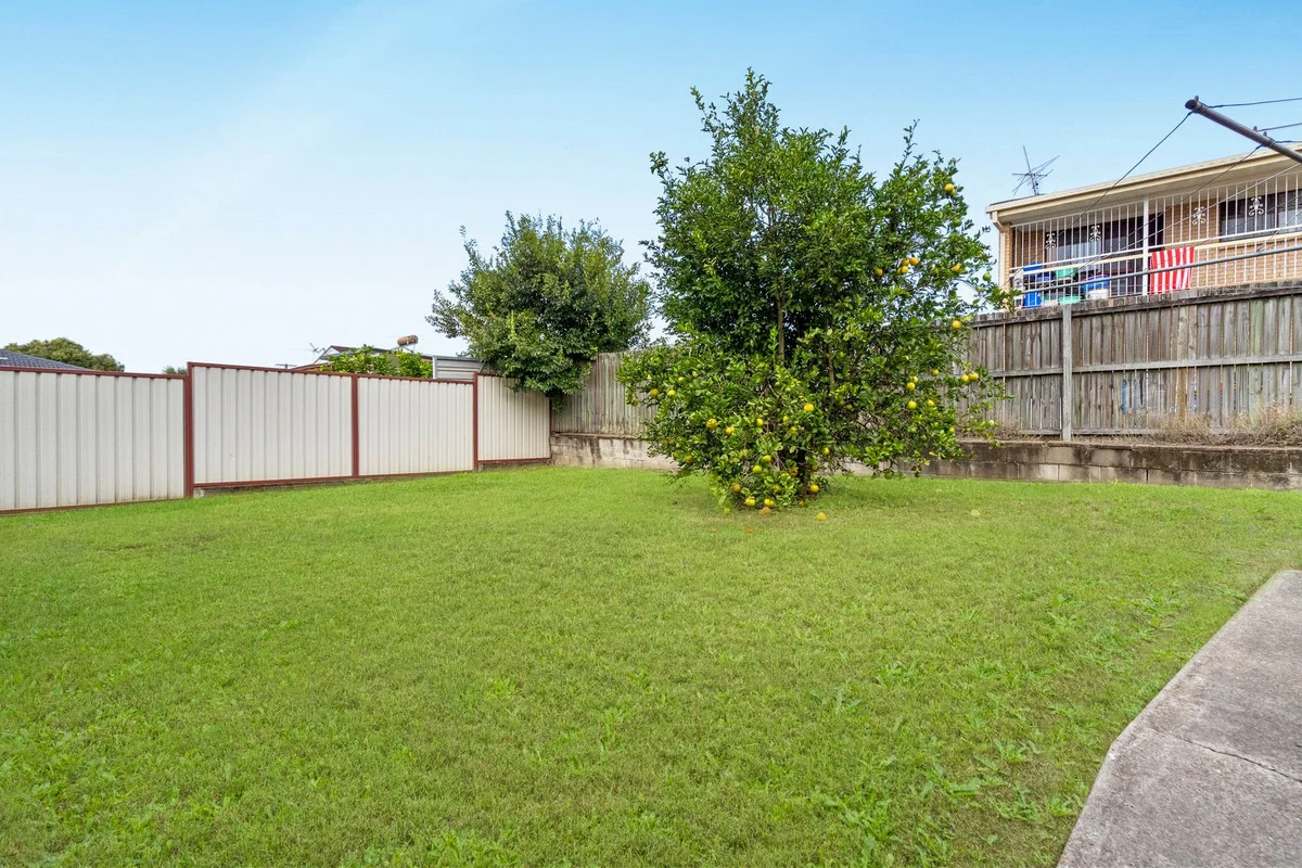 17 Elberta Street, MacGregor, Qld 4109