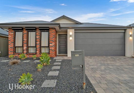 17 Pateley Street, Alkimos, WA 6038