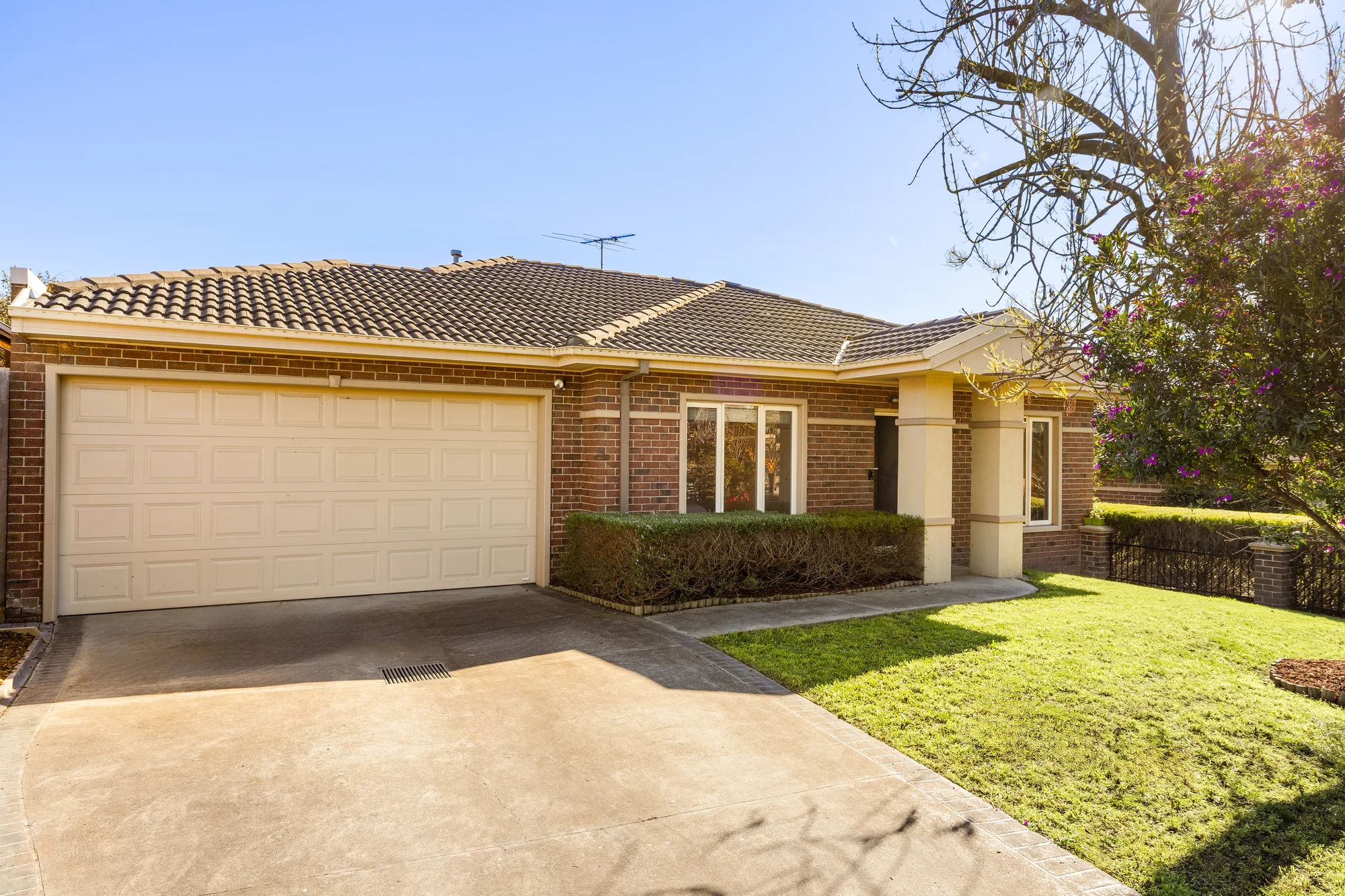 17 Teck Street, Ashwood, Vic 3147