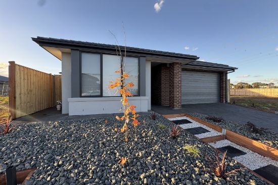19 Angelica Circuit, Fraser Rise, Vic 3336