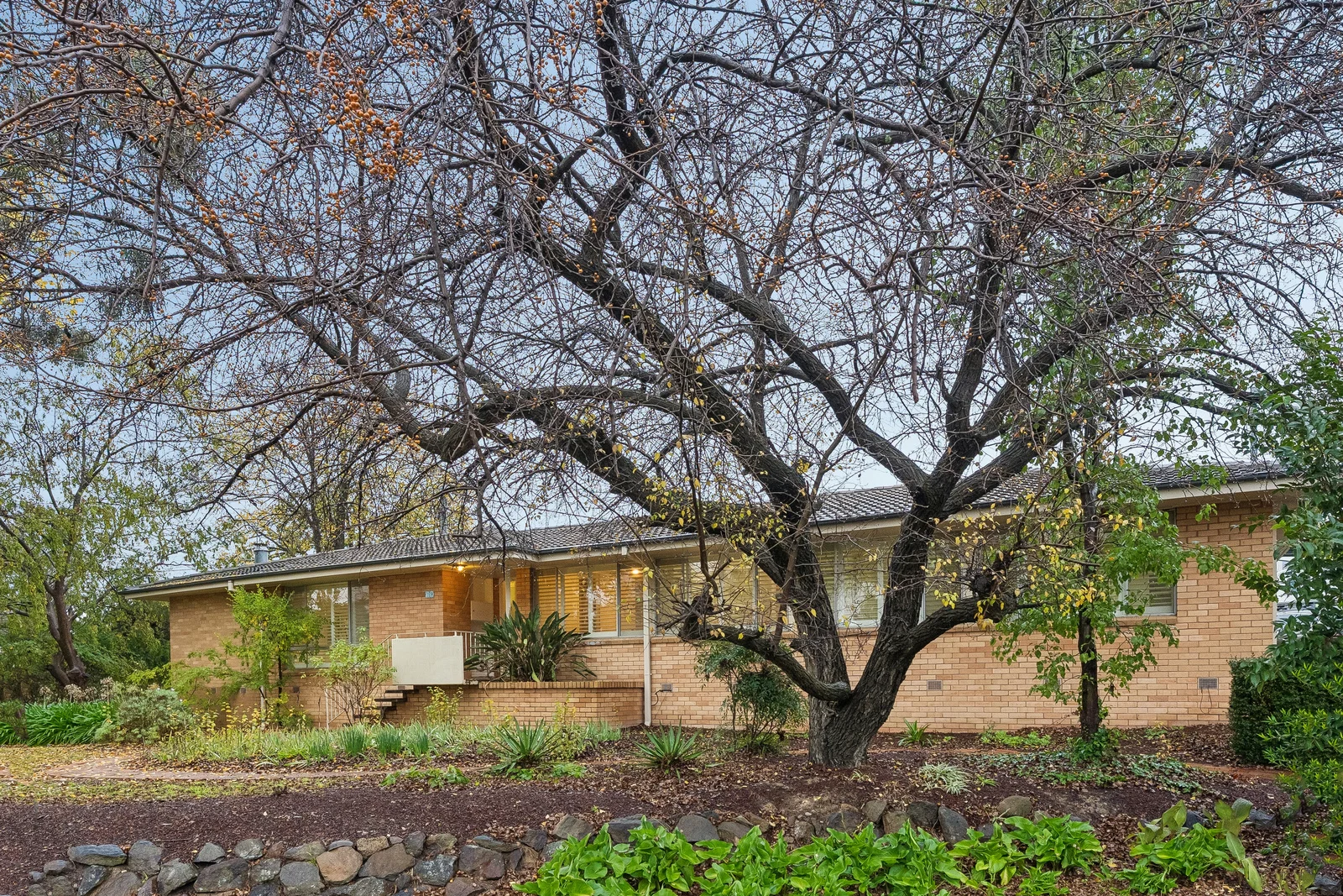 19 Basedow Street, Torrens, ACT 2607