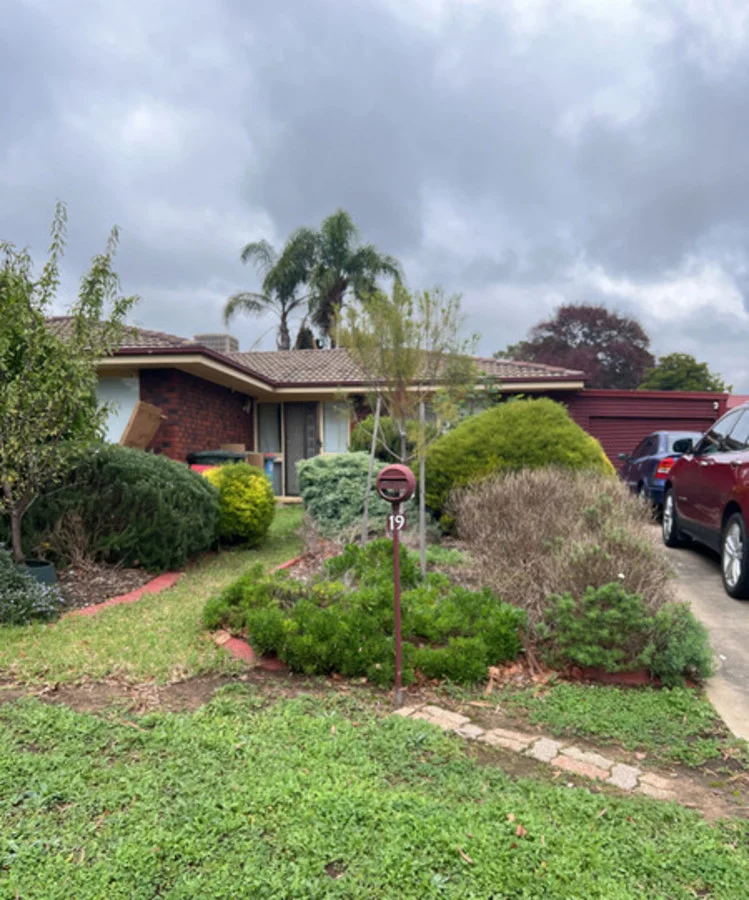 19 Callitris Avenue, Surrey Downs, SA 5126
