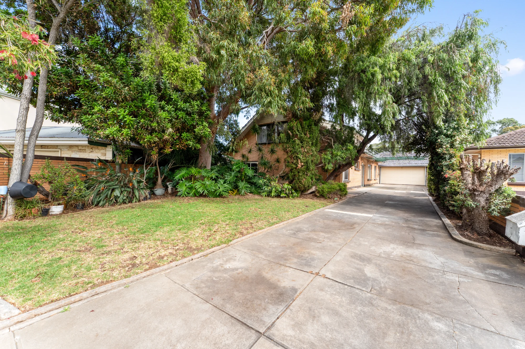 19 Dartmoor Street, Lockleys, SA 5032