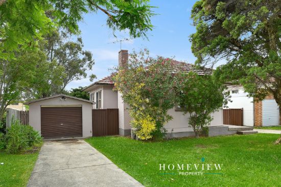 19 Dorothy Street, Chester Hill, NSW 2162