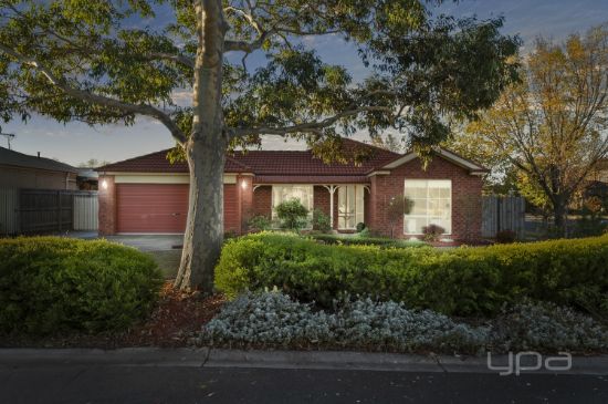 19 Glenbrook Gardens, Brookfield, Vic 3338