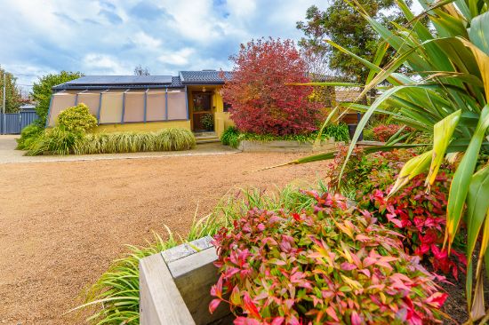 19 Paloona Place, Duffy, ACT 2611