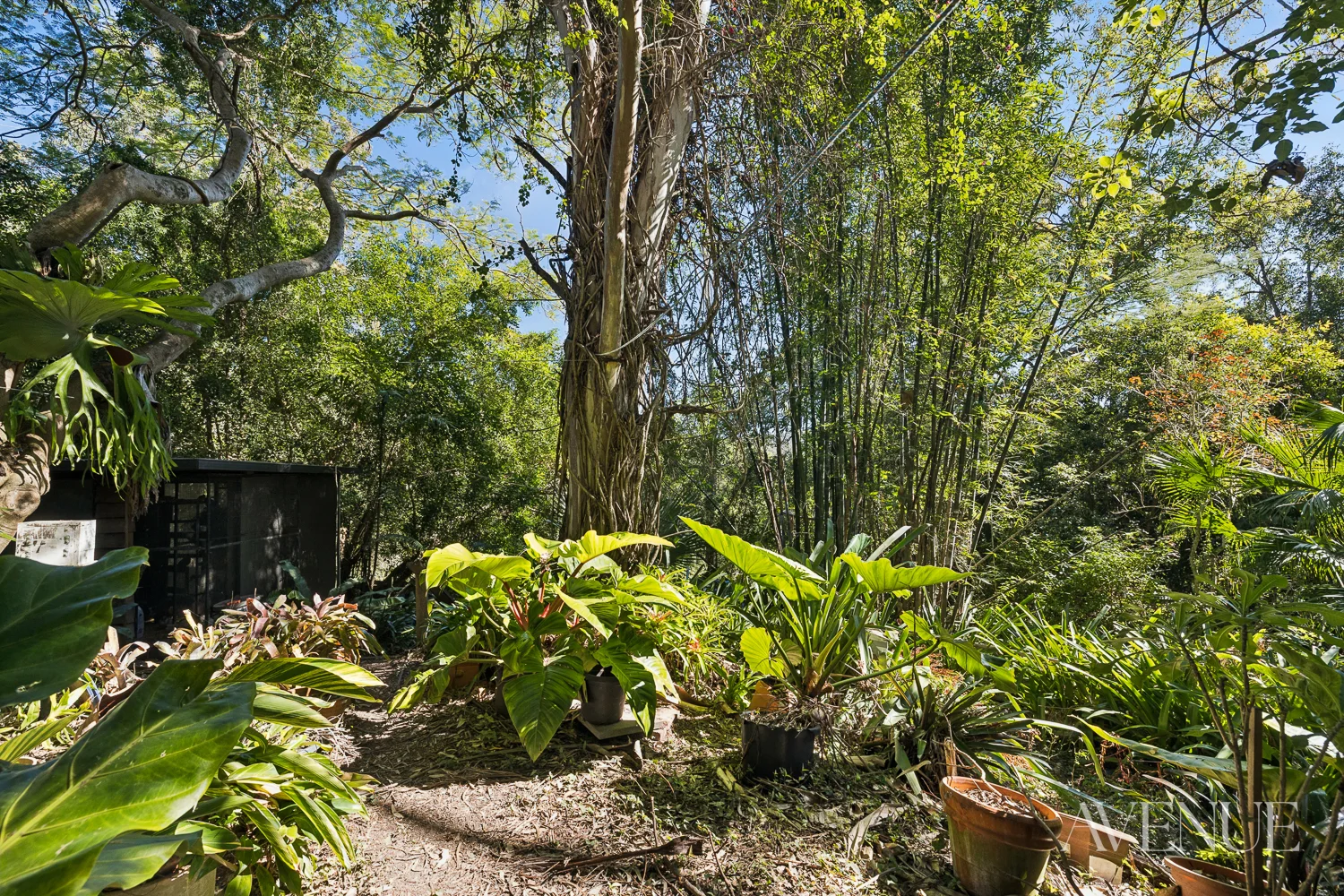 19 Rosemount Drive, Willow Vale, Qld 4209