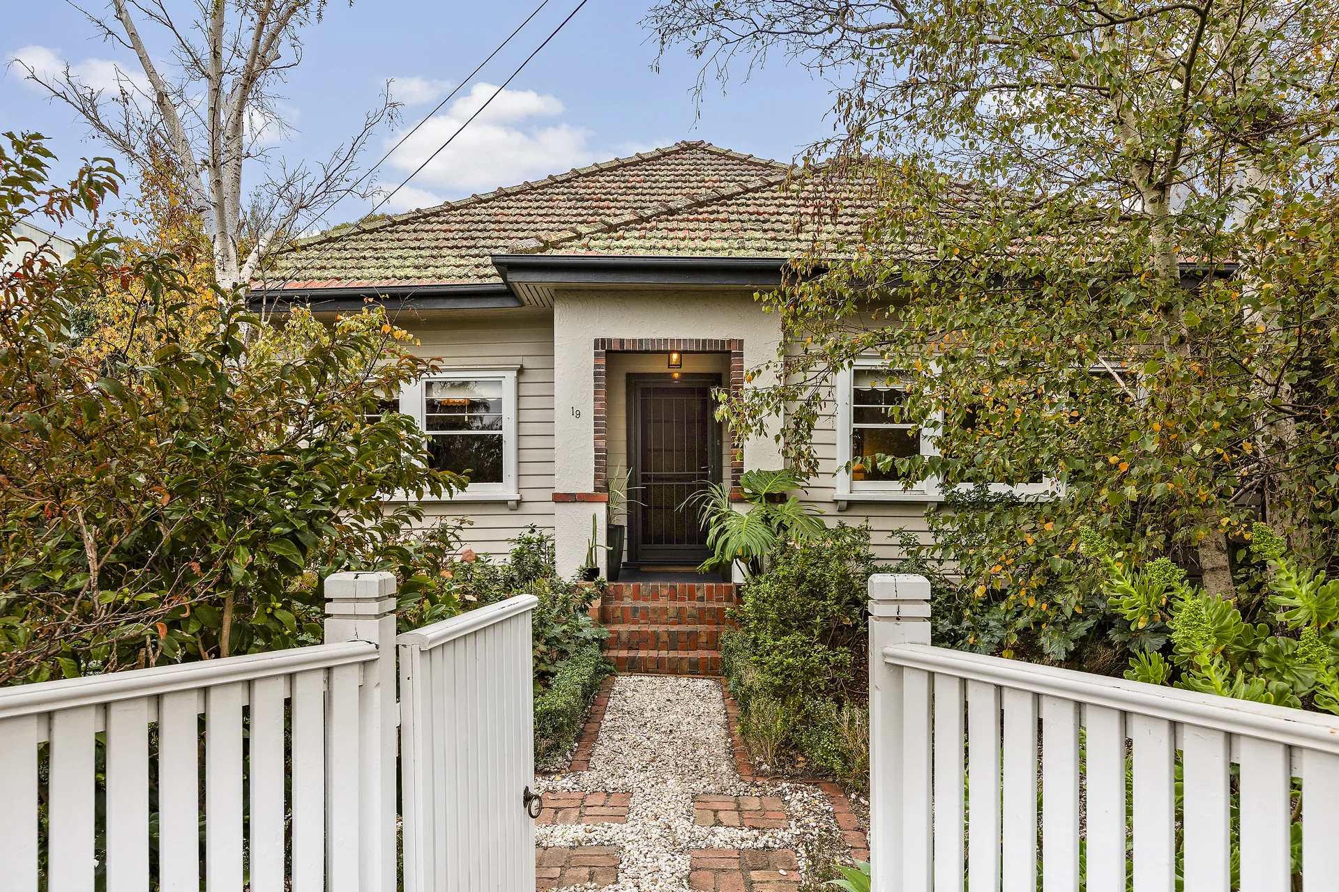 19 Teddington Road, Hampton, Vic 3188