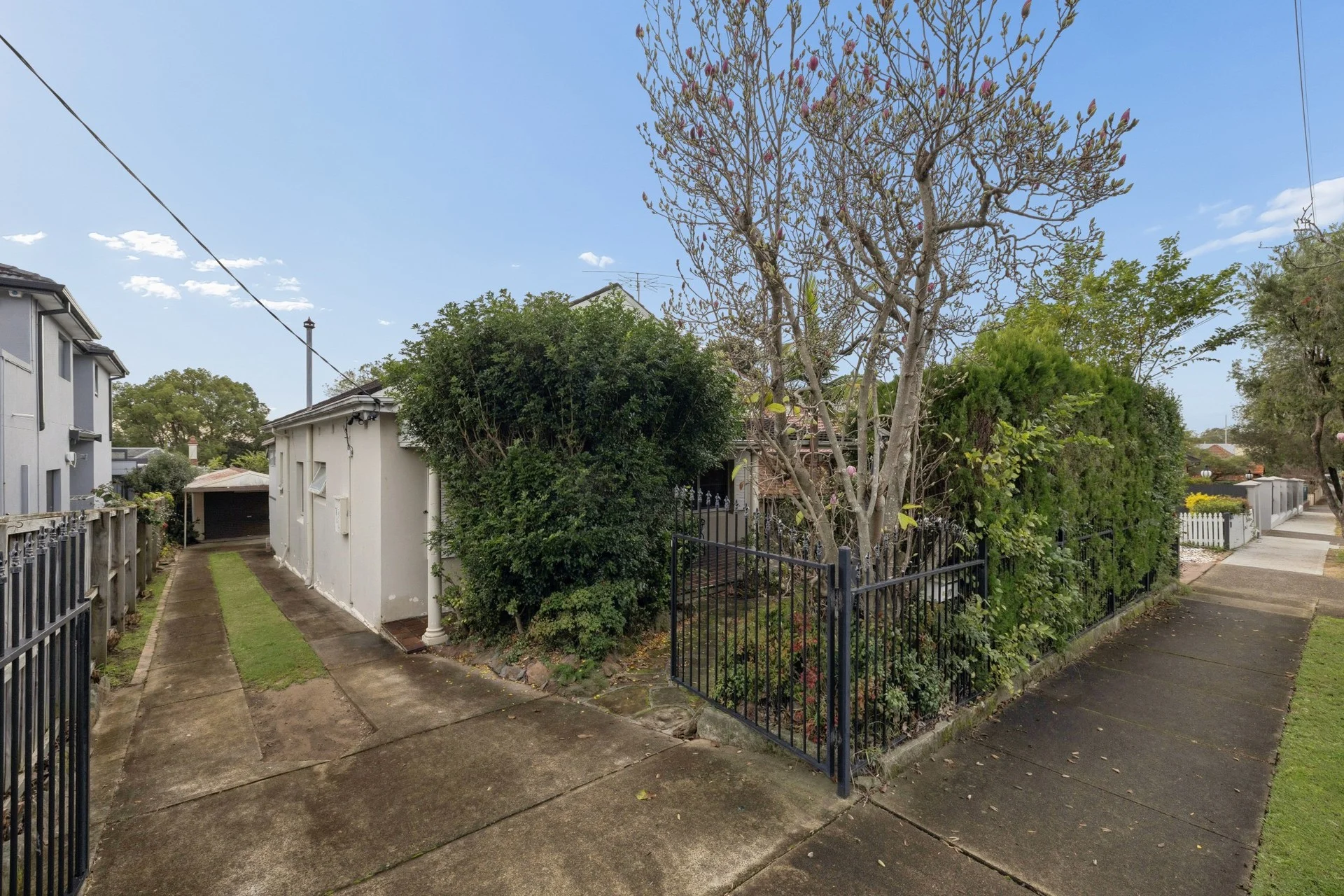 19 Wonga Street, Strathfield, NSW 2135