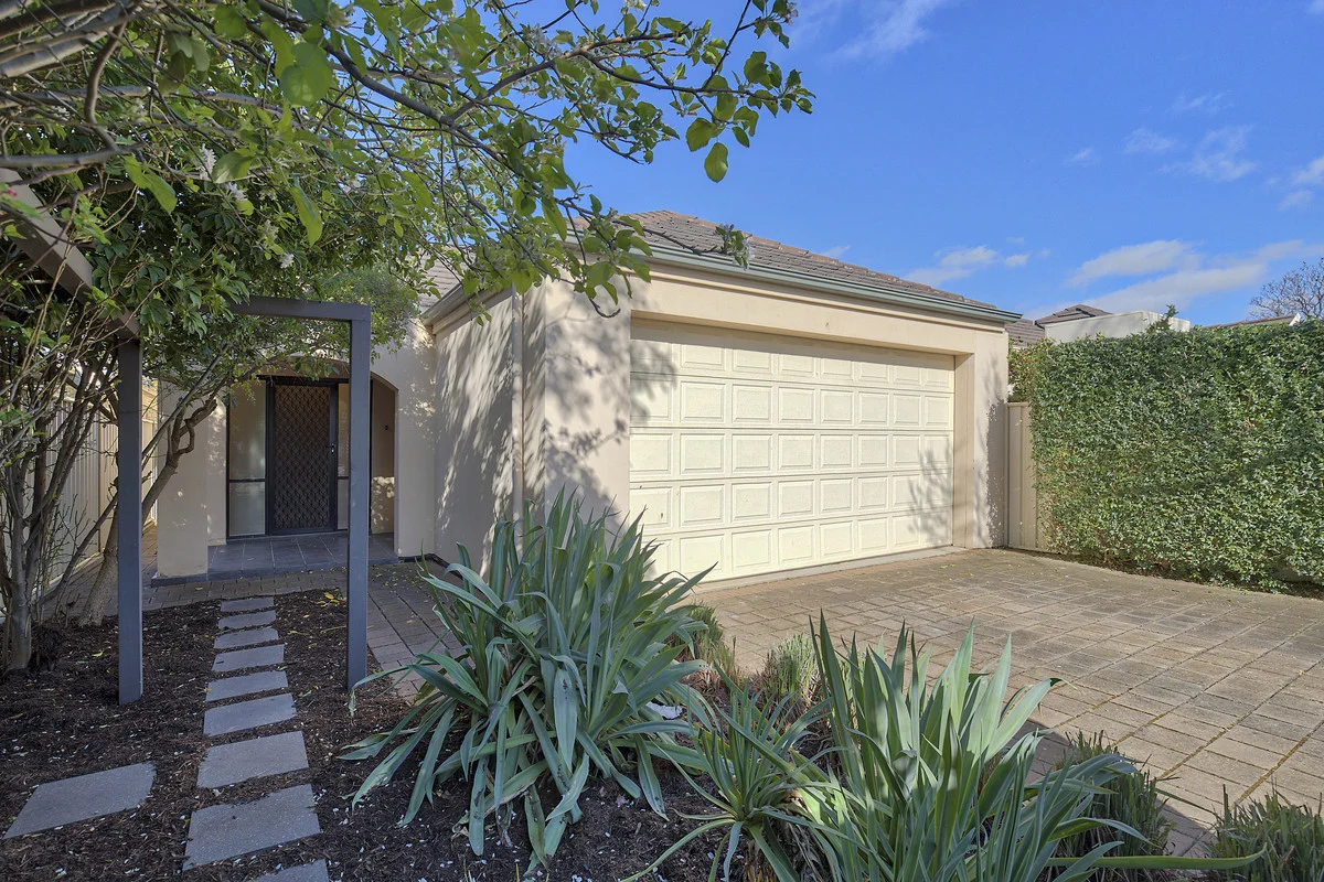 1A Macquarie Avenue, Hillcrest, SA 5086