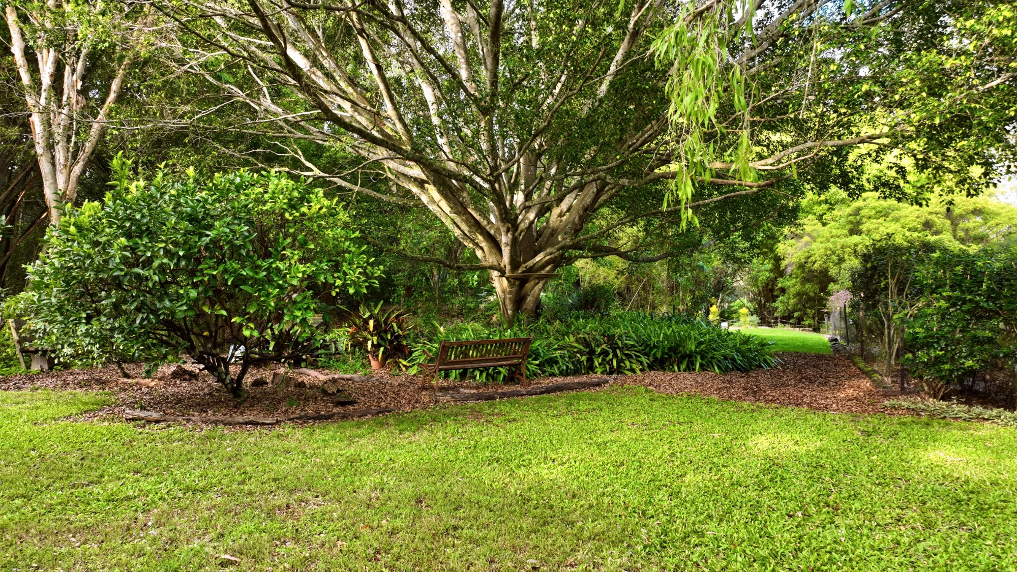 20 First Falls Lane, Eatonsville, NSW 2460