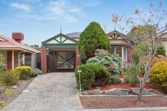 20 Shearwater Place, Wynn Vale, SA 5127