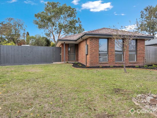 20 Smethurst Avenue, Pakenham, Vic 3810