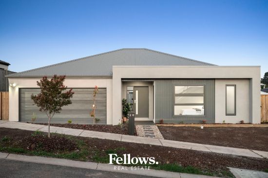 20 Tassell Drive, Warragul, Vic 3820