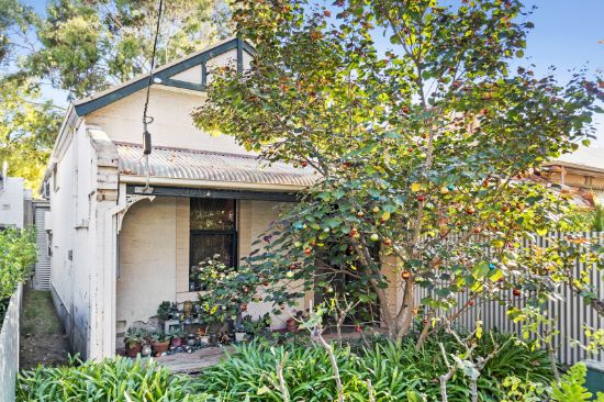 20 Torrens Street, College Park, SA 5069