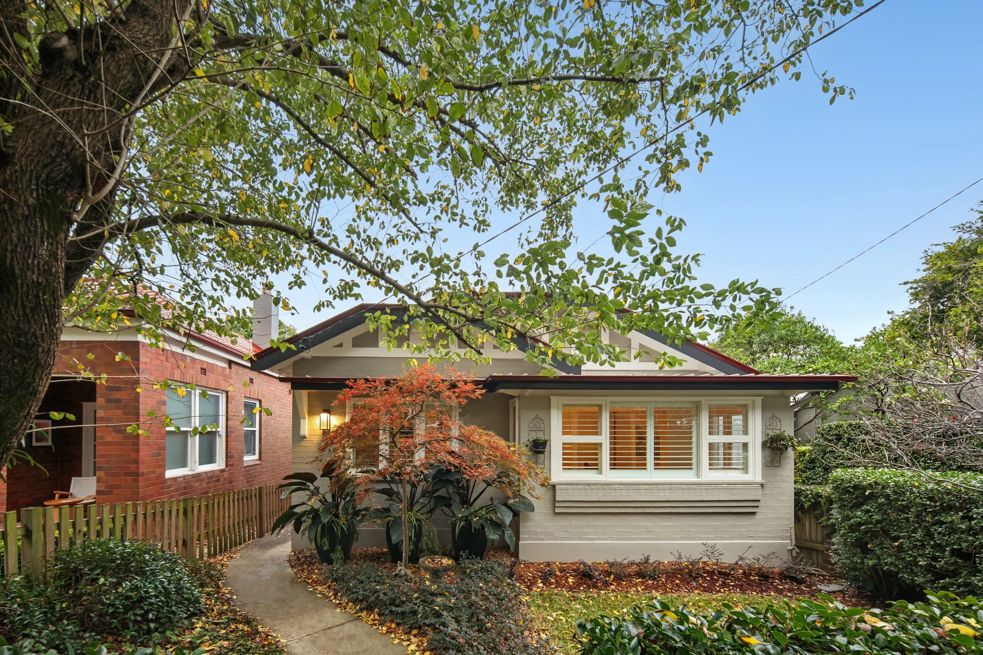 20 Victoria Square, Ashfield, NSW 2131