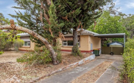21 Malcolm Avenue, Holden Hill, SA 5088