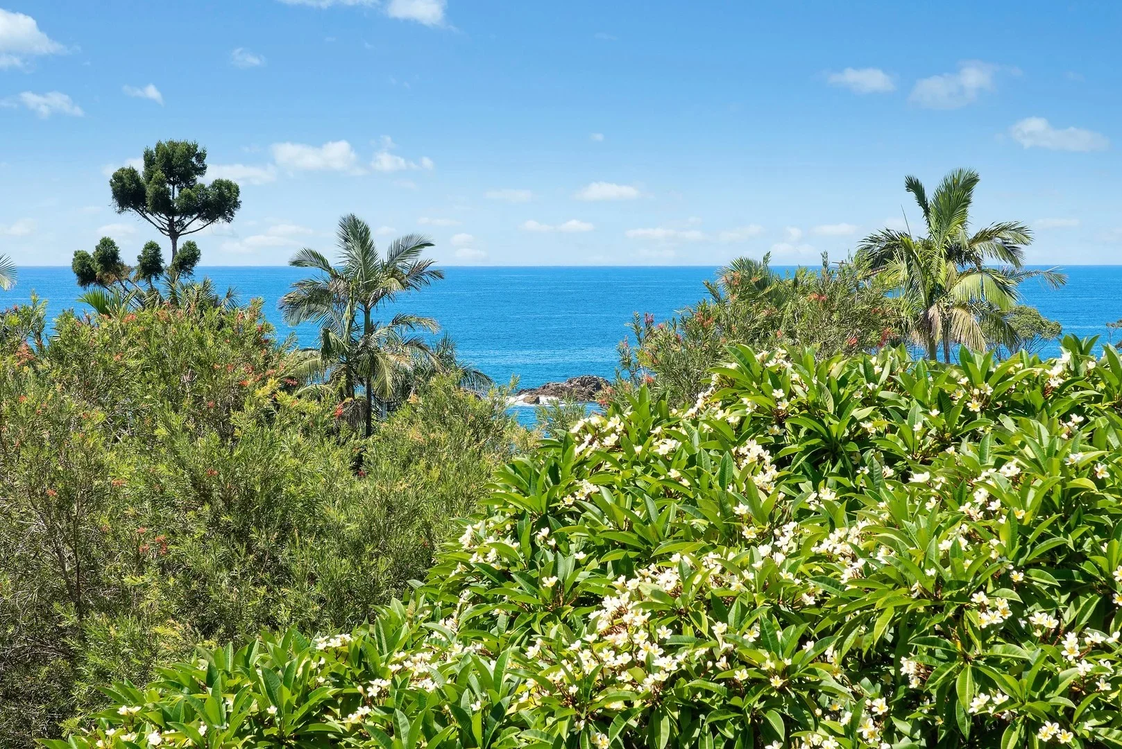 22 Korora Bay Drive, Korora, NSW 2450