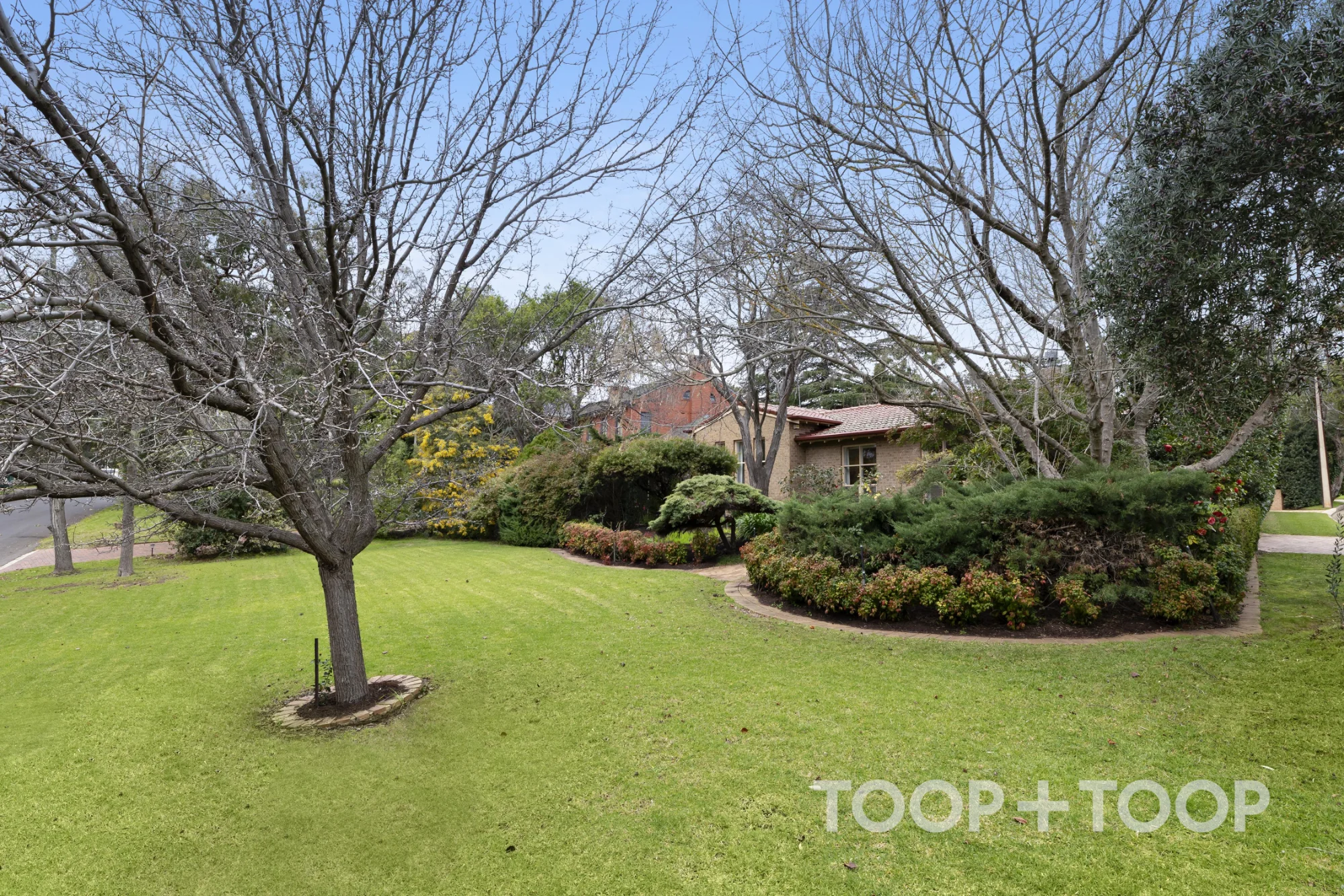 22 The Common, Beaumont, SA 5066