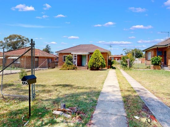 225 Wellington Rd, Chester Hill, NSW 2162