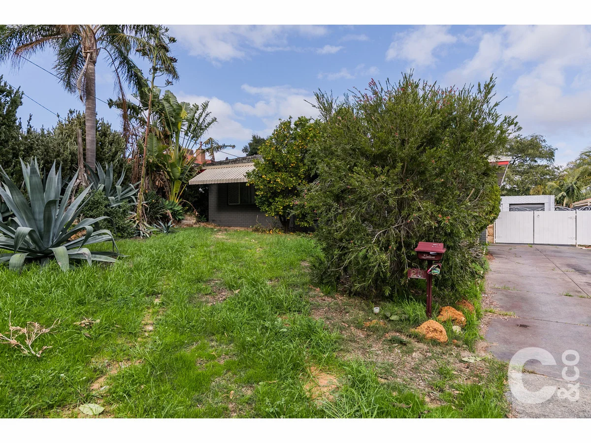 23 Richard Place, Orelia, WA 6167