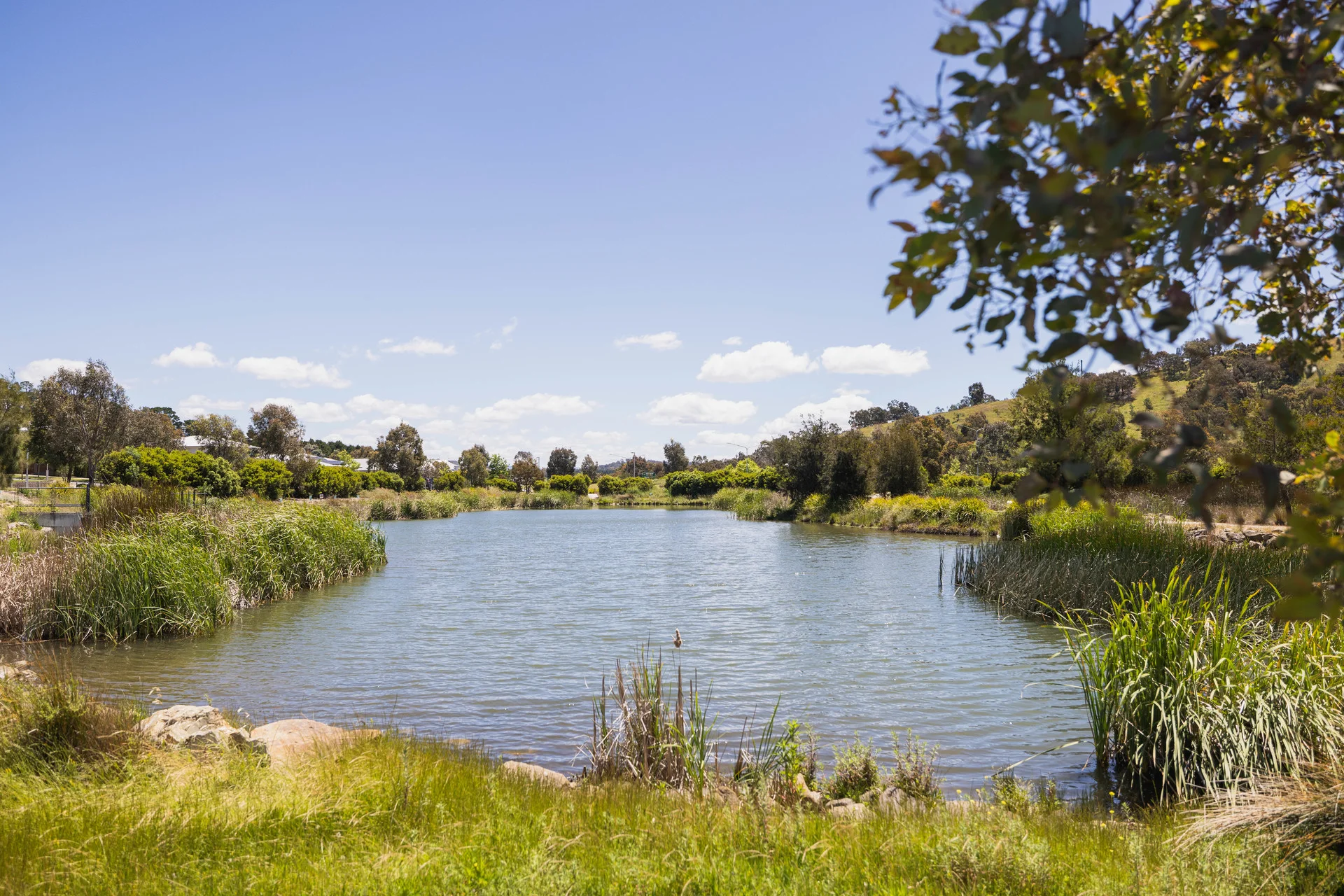 24 Baratta Street, Crace, ACT 2911