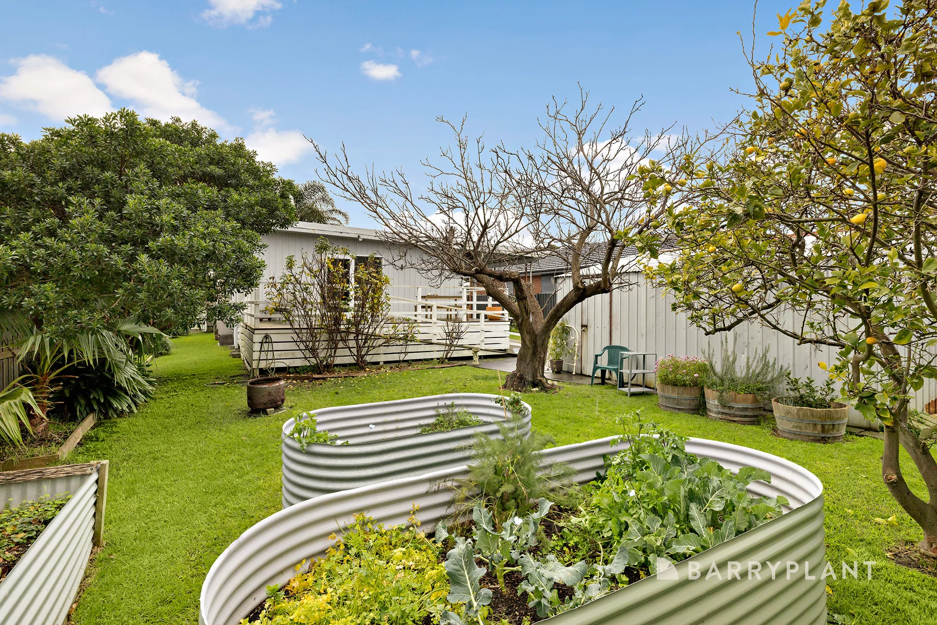 24 Clyde Road, Safety Beach, Vic 3936