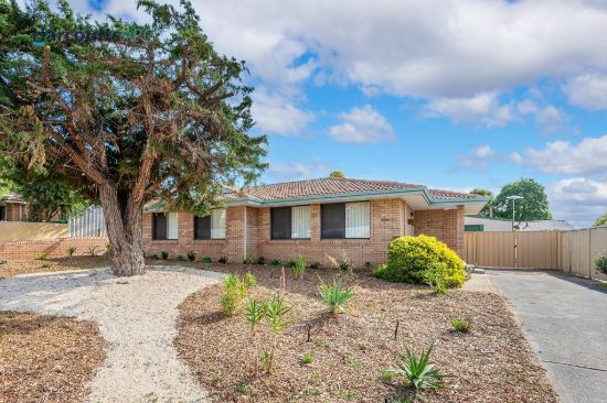 24 Rendell Elbow, Withers, WA 6230