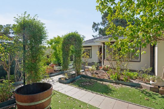 267 Beulah Road, Kensington Park, SA 5068
