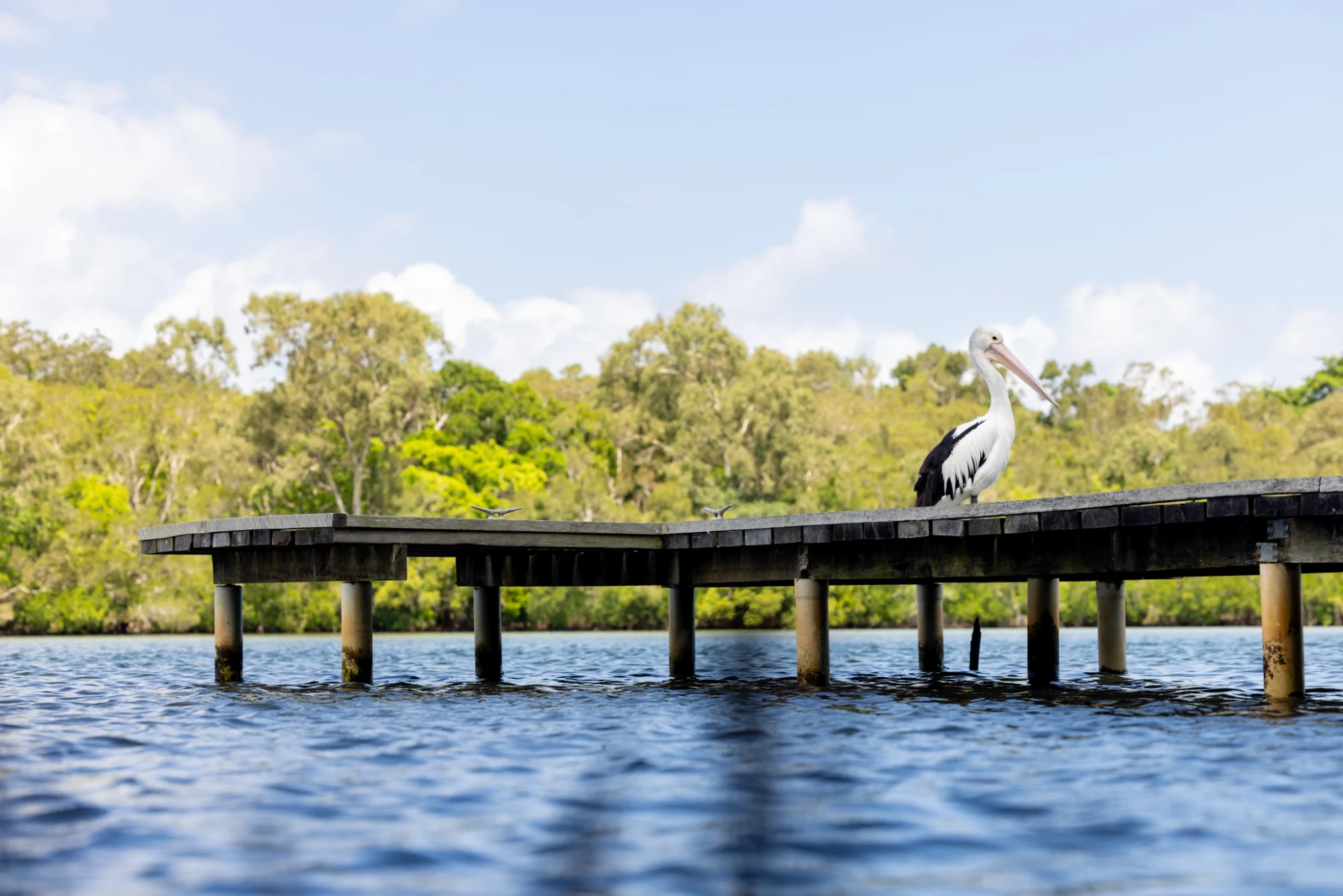 27 River Road, Tewantin, Qld 4565