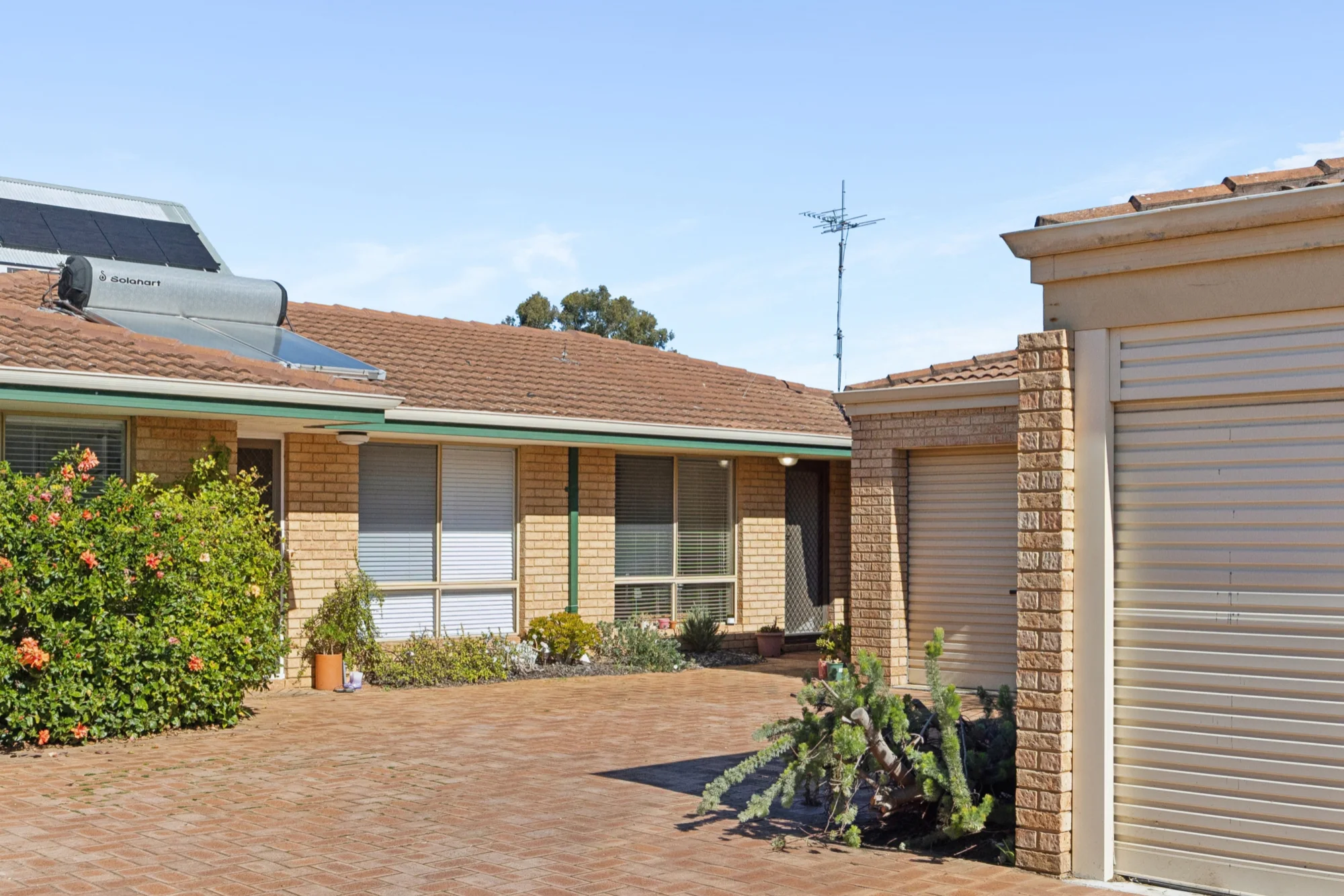 3/36 Elvira Street, Palmyra, WA 6157