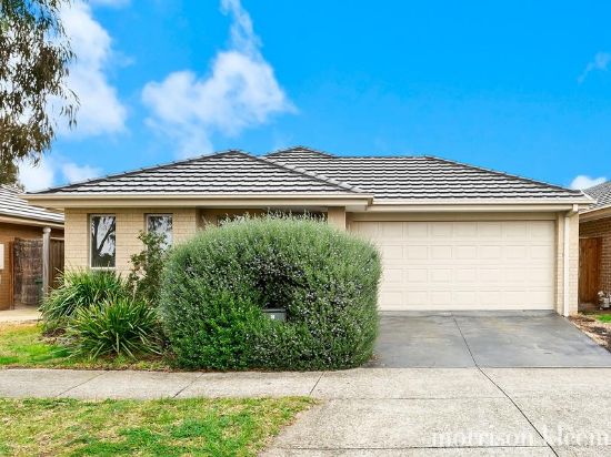 3 Bedervale Loop, Doreen, Vic 3754