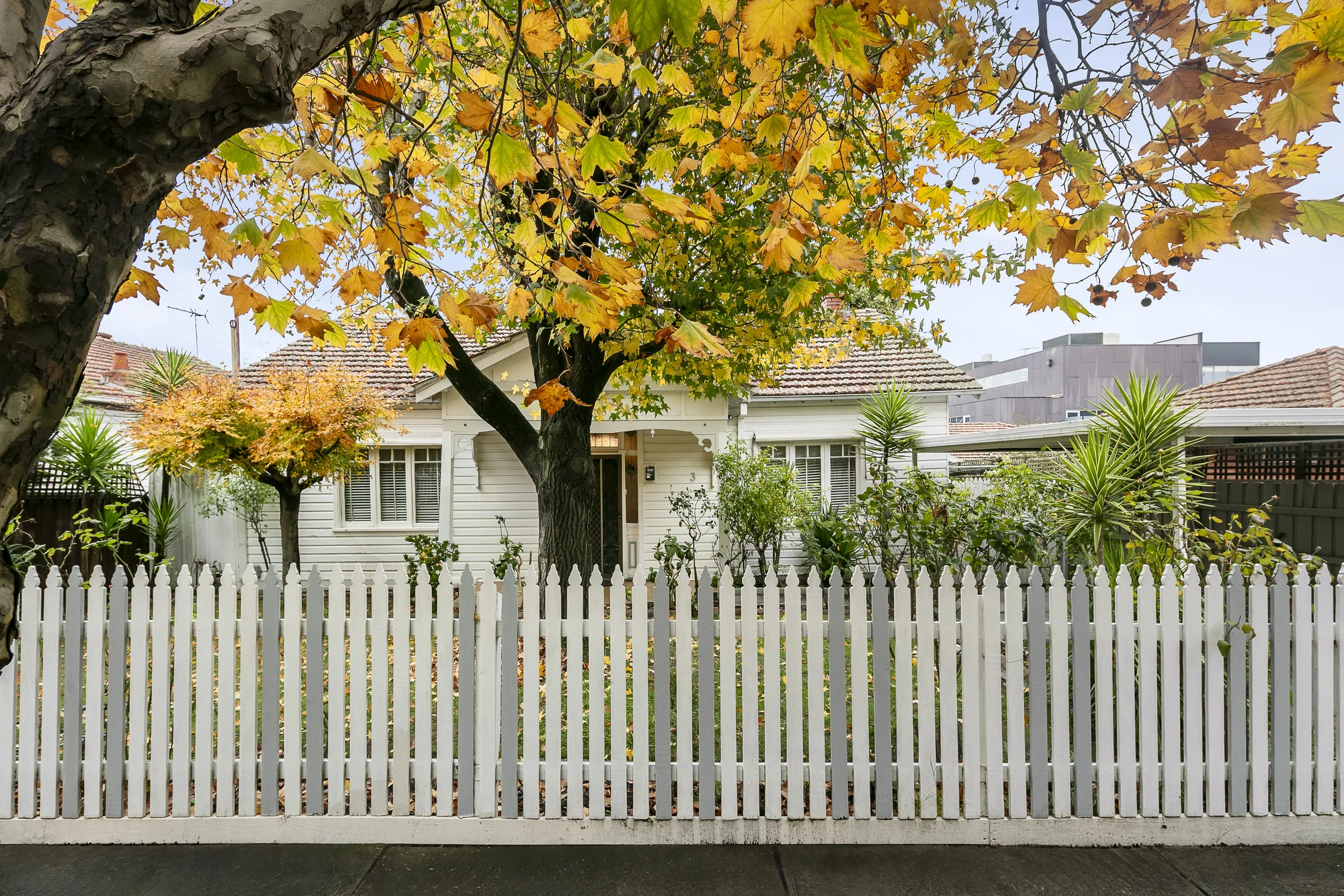 3 Windsor Street, Kew, Vic 3101