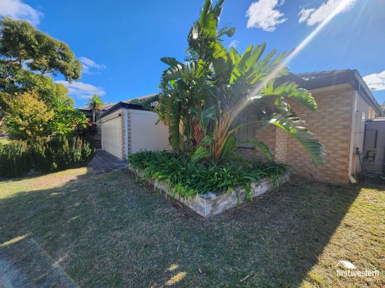 3 Winona Link, Banksia Grove, WA 6031