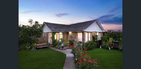 31 Cripps Avenue, Kingsgrove, NSW 2208