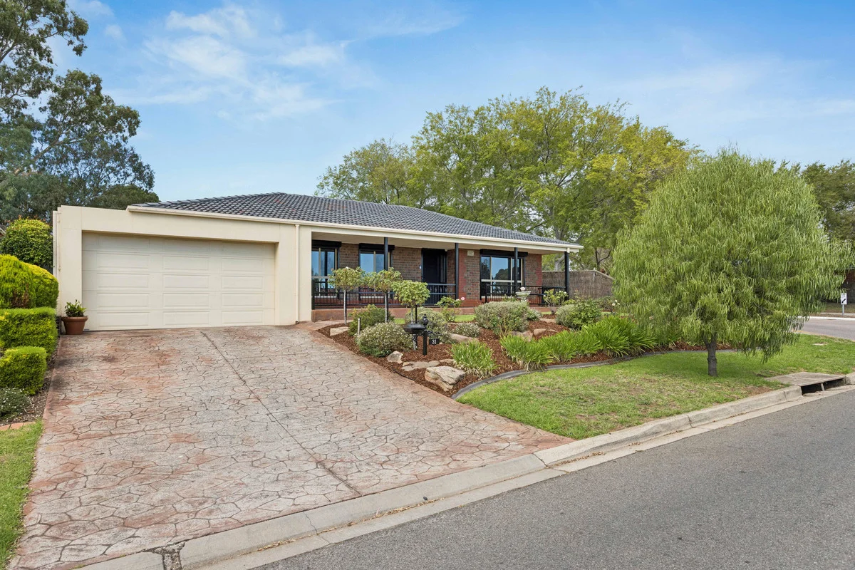 31 Hillcott Avenue, Wynn Vale, SA 5127