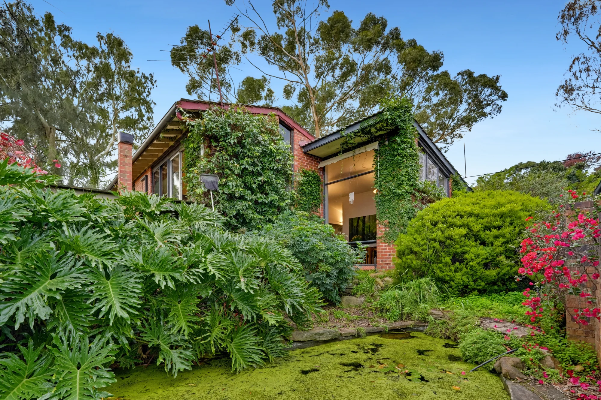 31 North Boulevard, Tea Tree Gully, SA 5091