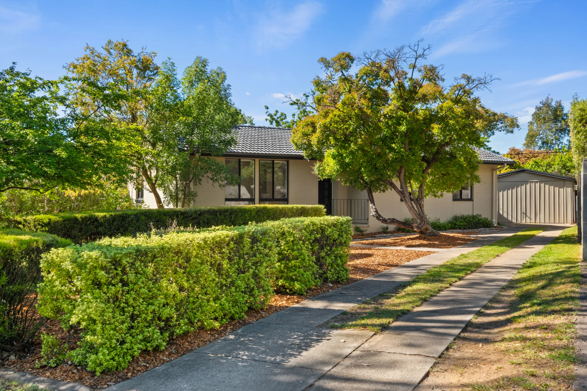 31 Santalum Street, Rivett, ACT 2611