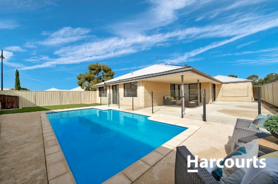 31 Sundowner Meander, Banksia Grove, WA 6031