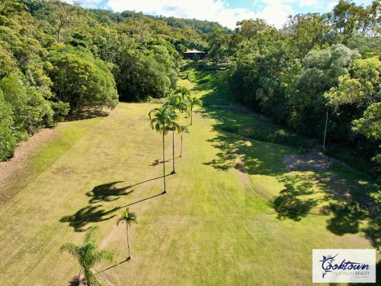 313 Bloodwood Rd, Bloomfield, Qld 4895