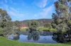 34-36 Whitby St, Melrose, SA 5483-Image