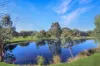 34-36 Whitby St, Melrose, SA 5483-Image