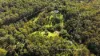 349 Ringtail Creek Road, Ringtail Creek, Qld 4565